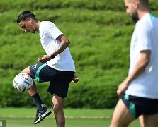 乐动体育官直播-葡超直播在线观看高清