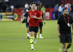 乐动·LDSports(中国)体育官网-巴黎圣曼vs勒阿弗尔