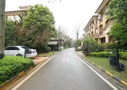 广州恒大主场在哪个体育场